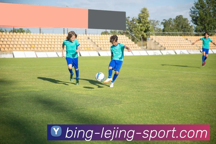 乐竞体育平台生态图